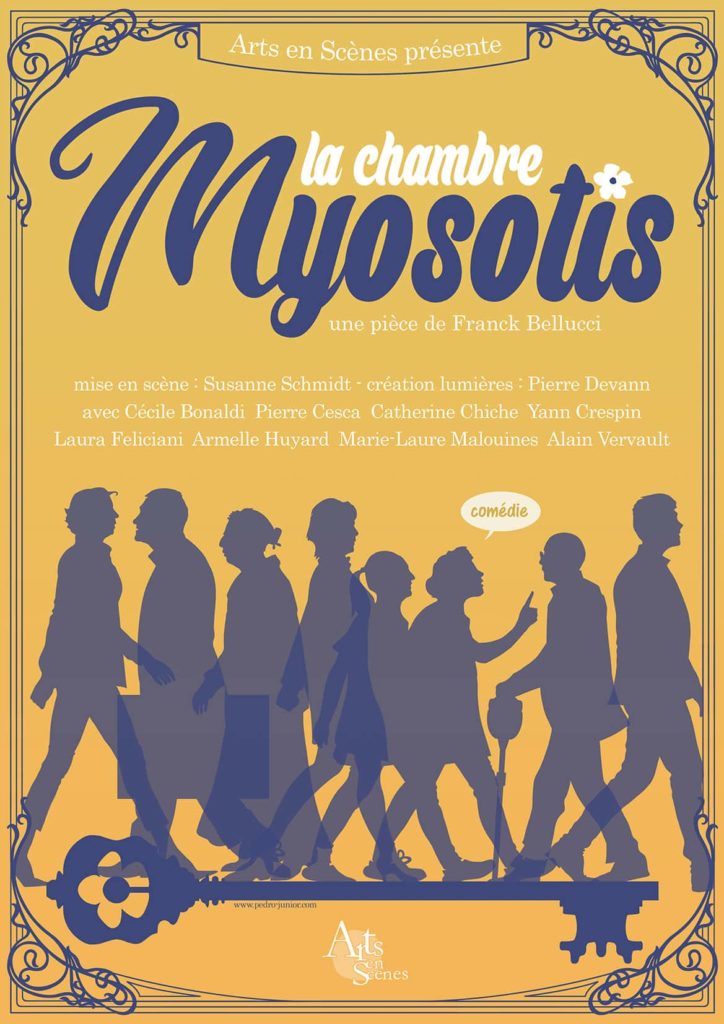 Affiche : La Chambre Myosotis